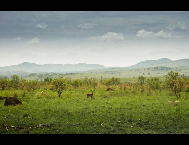 FARM FOR SALE IN STERKFONTEIN